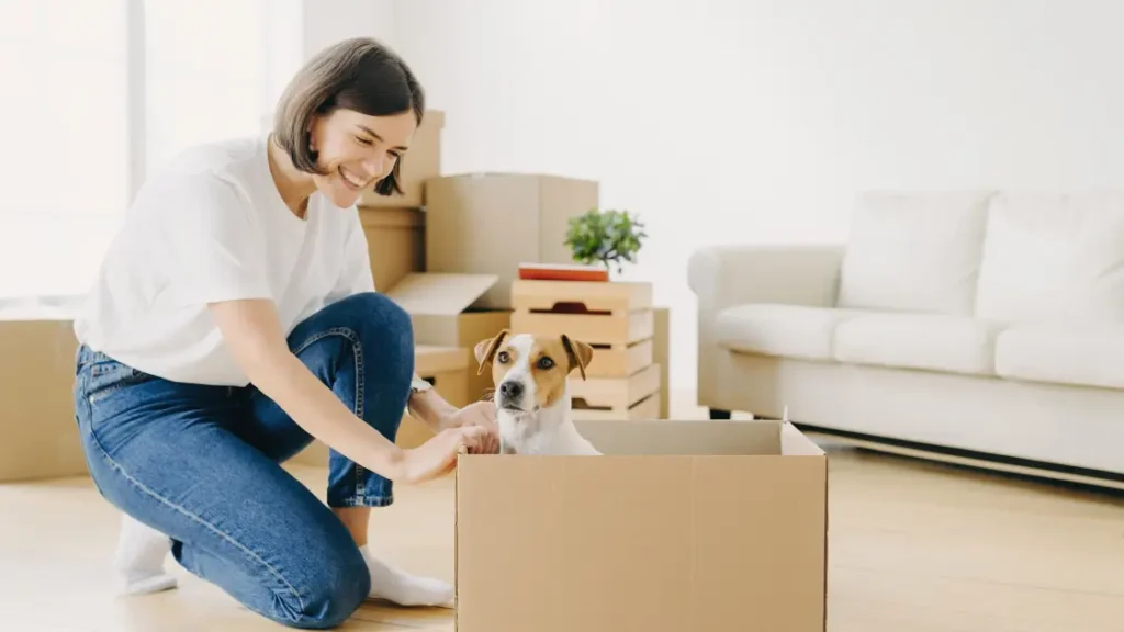 Pet Hates About Moving Every Mom Can Relate To